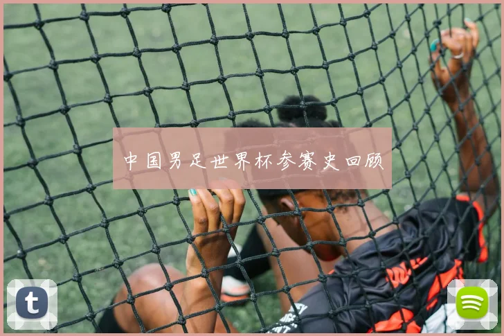 中国男足世界杯参赛史回顾